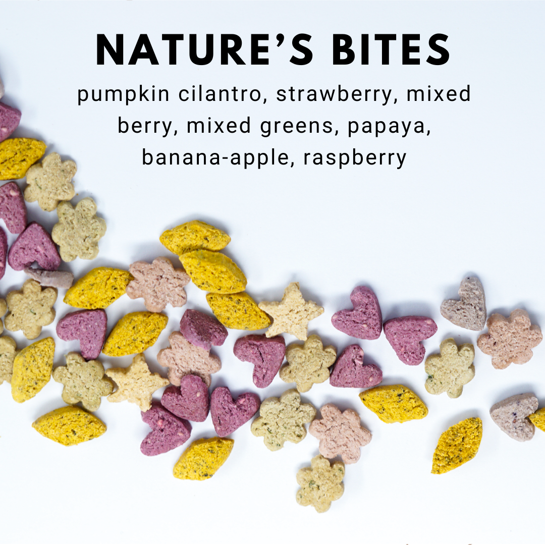 Nature's Bites Variety Pack | New Look, Official Packaging