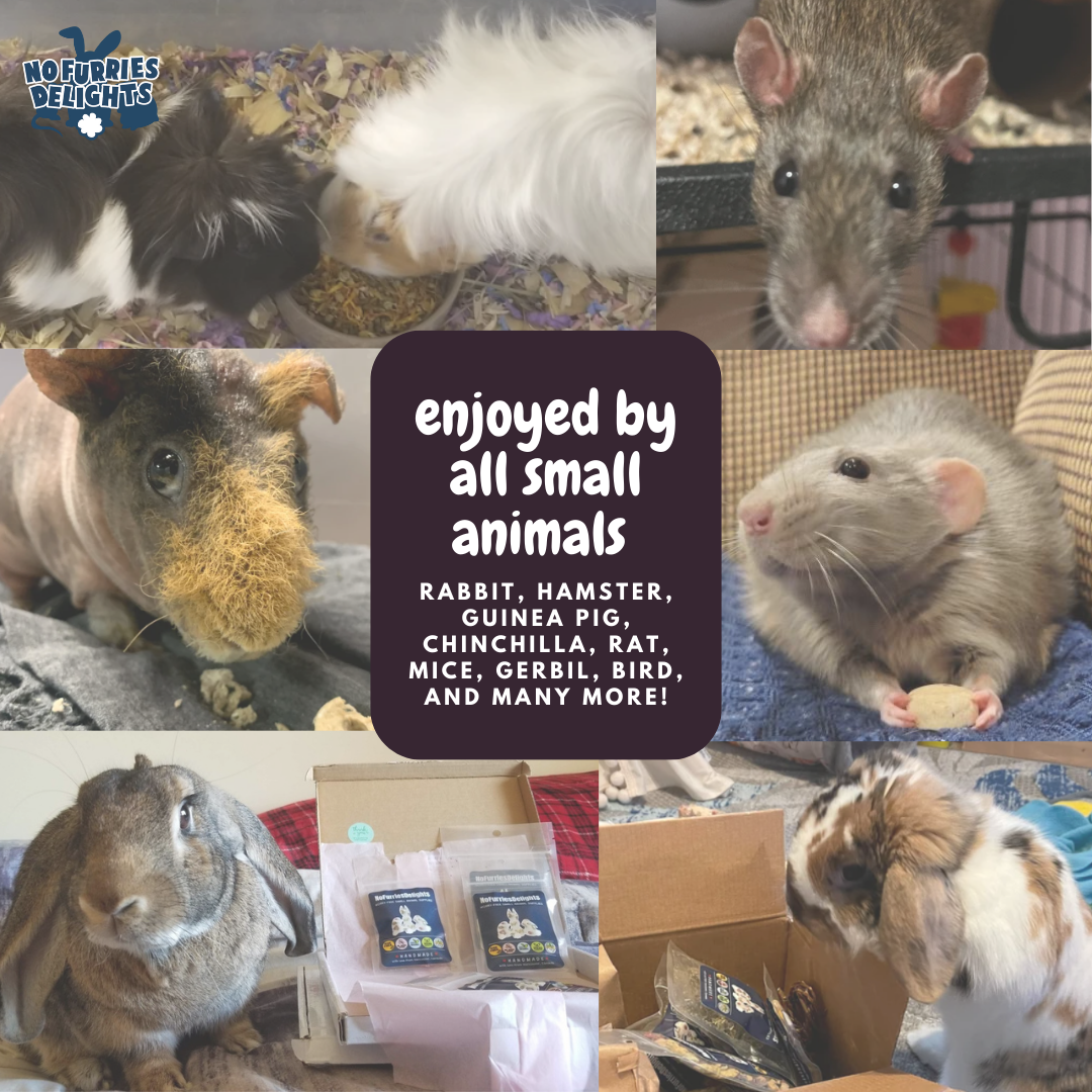 Love Variety Pack | Small Animal Treats