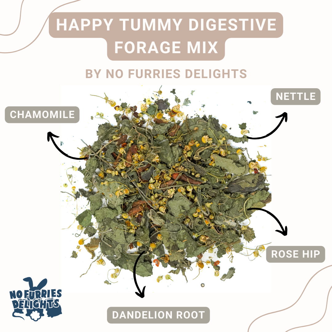 Happy Tummy Forage Mix (30g | 1.06oz)