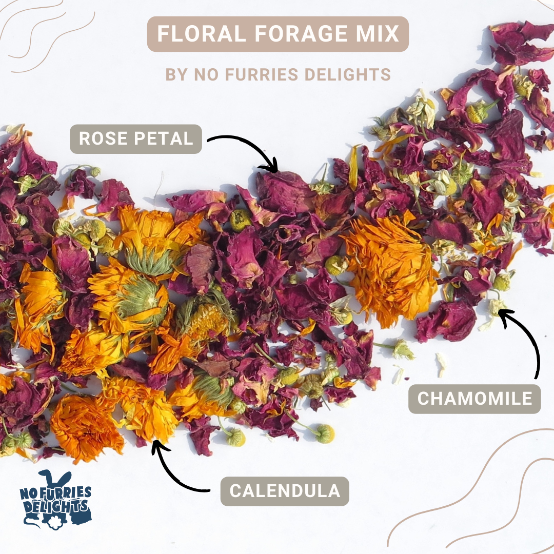 Floral Forage Mix (25g | 0.88oz)