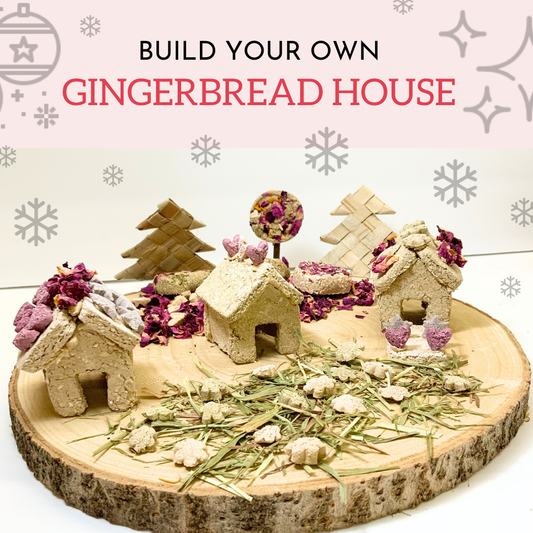 Mini Gingerbread House DIY Kit | Small Animal Treats