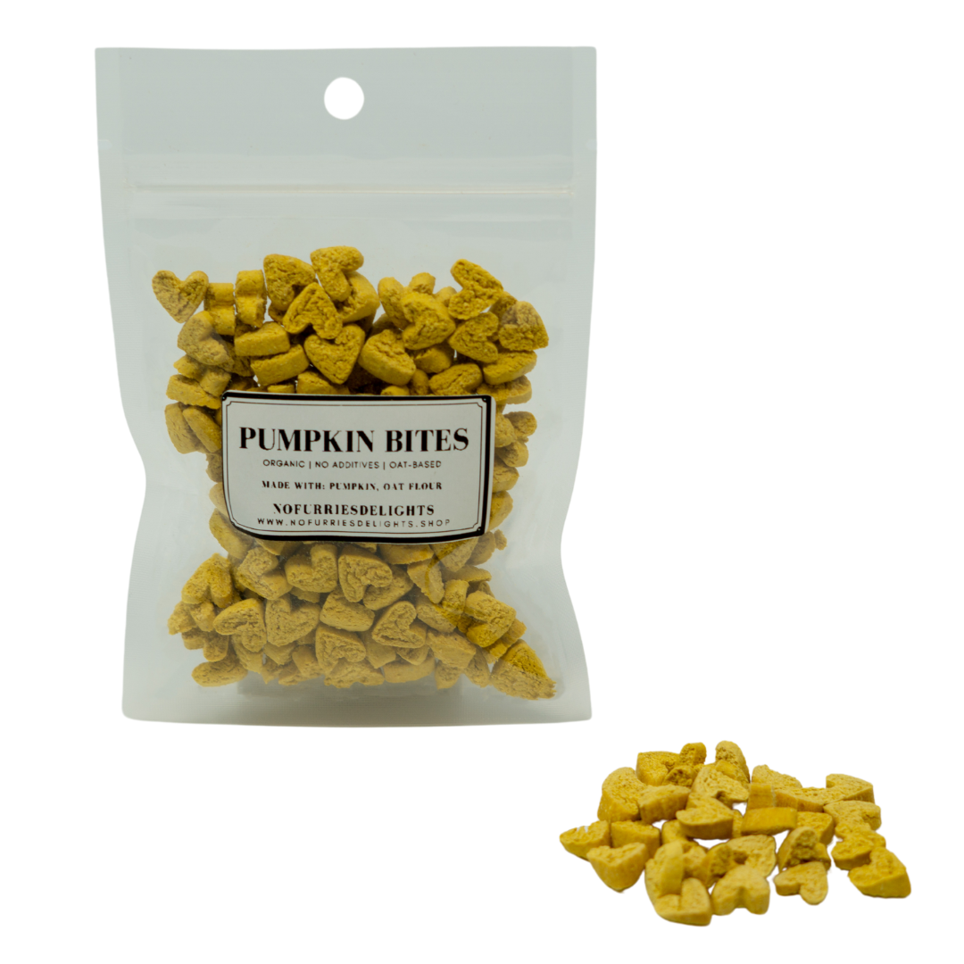 Pumpkin Bites (50g | 1.76oz)