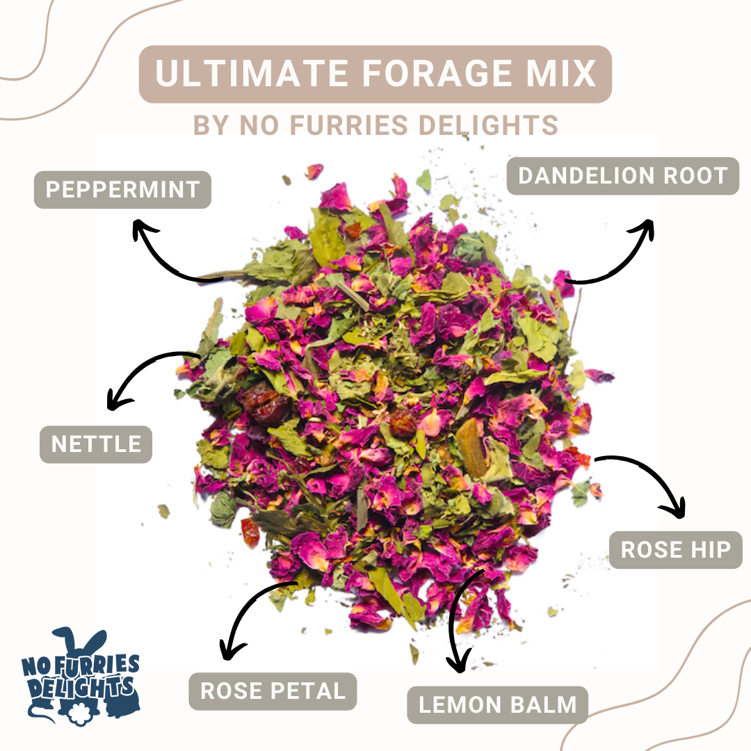 Ultimate Forage Mix (30g | 1.06oz)