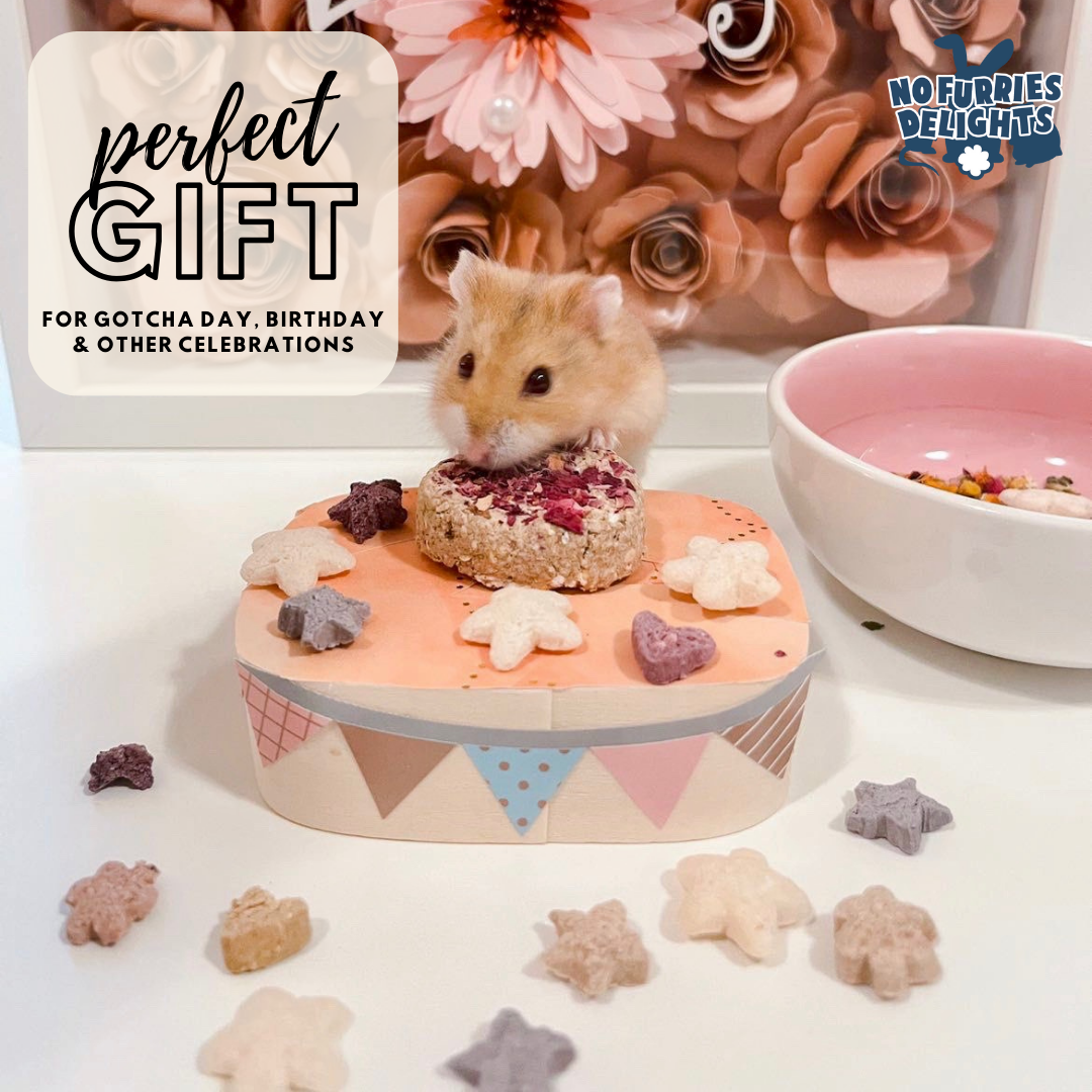 Mini Gingerbread House DIY Kit | Small Animal Treats