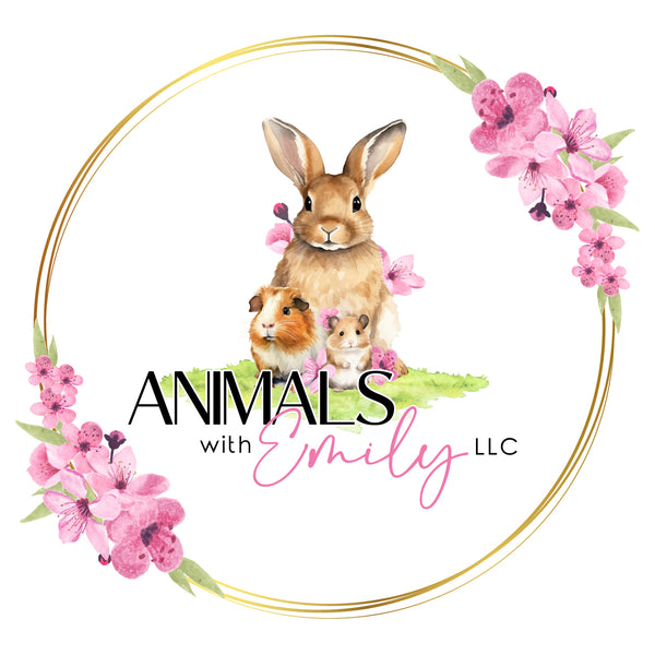 Animals with Emily LLC